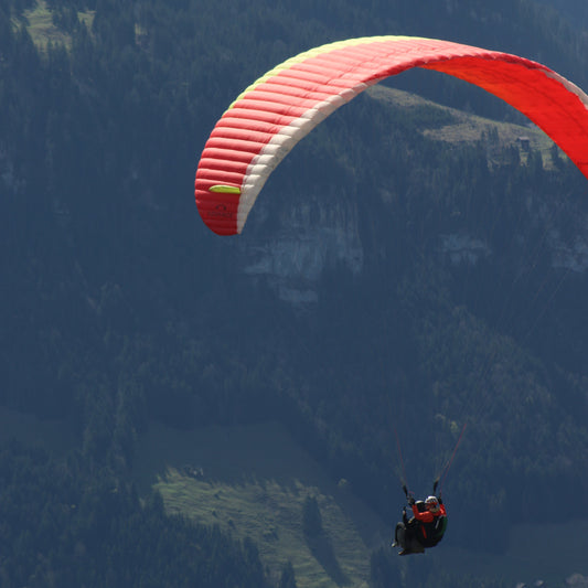 Scenic Flight